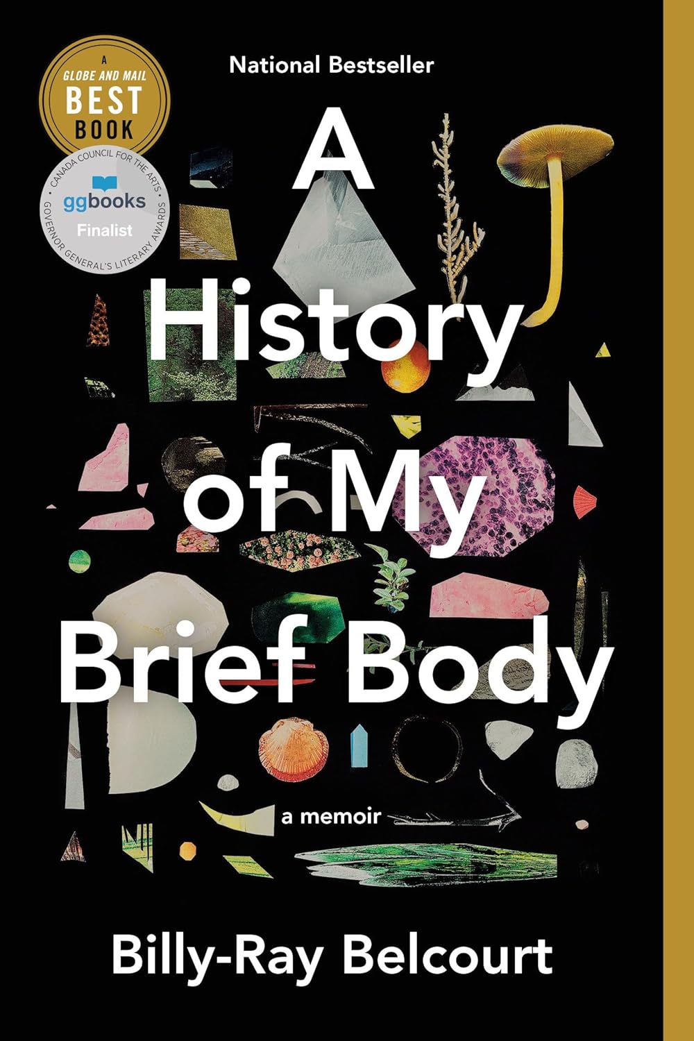 A HISTORY OF MY BRIEF BODY